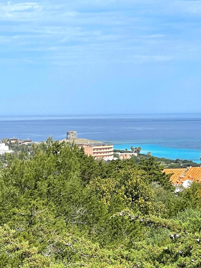 Casa Vacanze Stintino Vista Mare Esterno foto